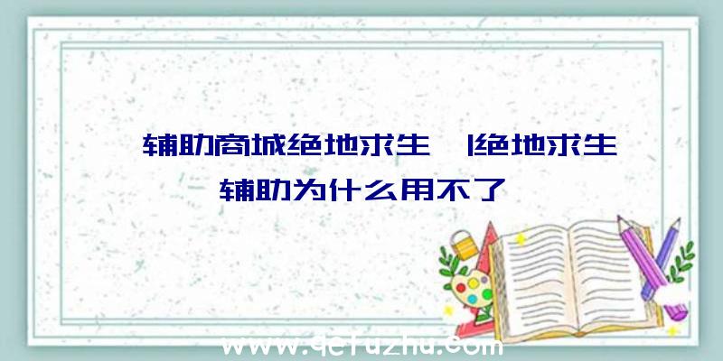 「辅助商城绝地求生」|绝地求生辅助为什么用不了